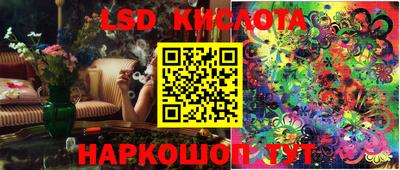 прущие грибы Камышлов
