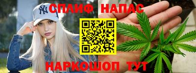 прущие грибы Камышлов