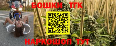 прущие грибы Камышлов