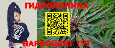 прущие грибы Камышлов