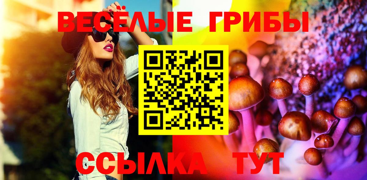 Псилоцибиновые грибы GOLDEN TEACHER  Вход с VPN  Псилоцибиновые грибы прущие грибы  Кувандык 