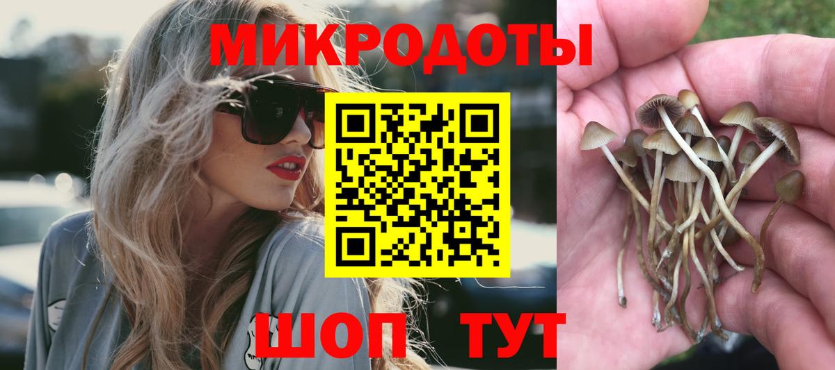 Псилоцибиновые грибы MAGIC MUSHROOMS Кувандык