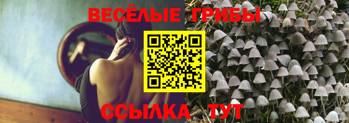 MDMA  ТГК  Бошки Шишки  МЕФ   ГАШИШ  Кувандык  Вход с VPN  Кокаин 